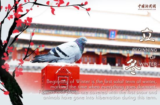 Culture Fact | Solar term: Beginning of Winter