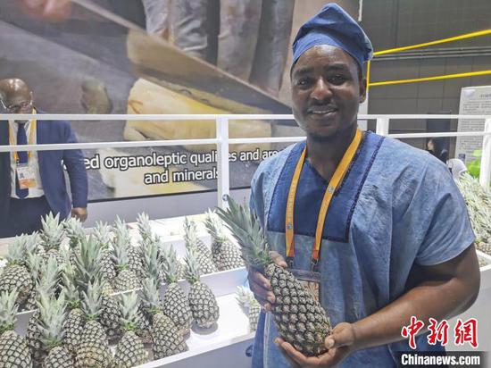 Rock Agossou showcases Benin pineapples at the 6th CIIE, Nov.8. 2023. (Photo: China News Service/Zhong Sheng)