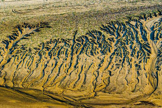 Stunning patterns on Yellow River bed