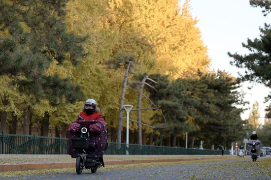 Beijing braces for cold wave, strong wind