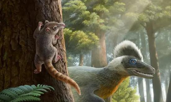 Chinese scientists unveil middle ear evolution in 120 mln-year-old eutherian mammals