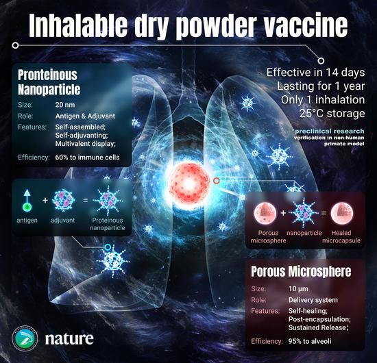 Introduction of inhalable dry powder vaccine (Photo/Courtesy of Institute of Process Engineering, Chinese Academy of Sciences)