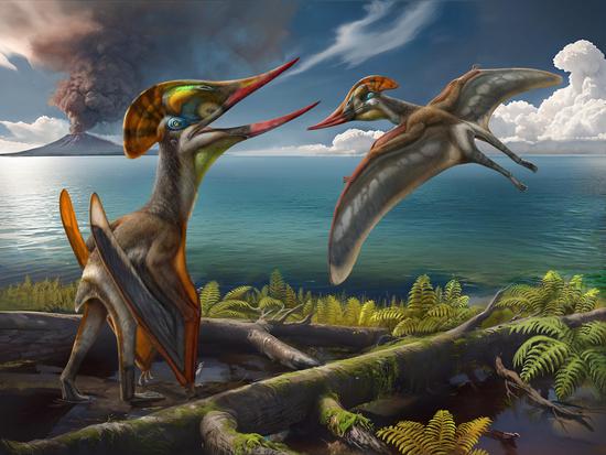New species of chaoyangopterid pterosaur discovered