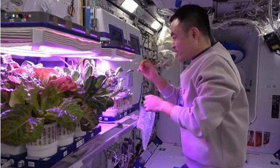 (Photo/Snapshot from the China space station New Year vlog)