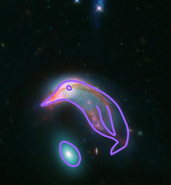 NASA shares cute image of penguin and egg-shaped galaxies
