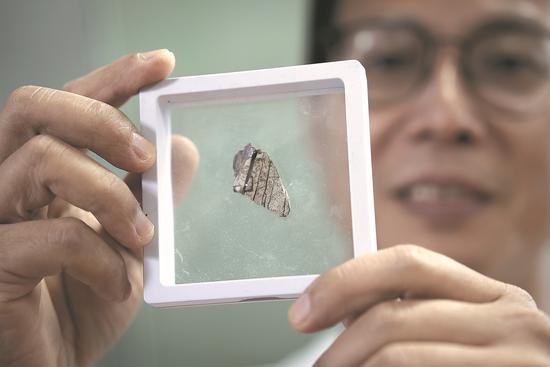 Dinosaur teeth found in Guangdong belonged to a relative of T rex