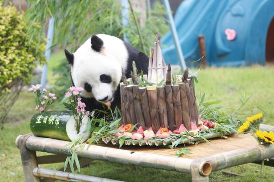 Giant panda Ya Ji celebrates 10th birthday