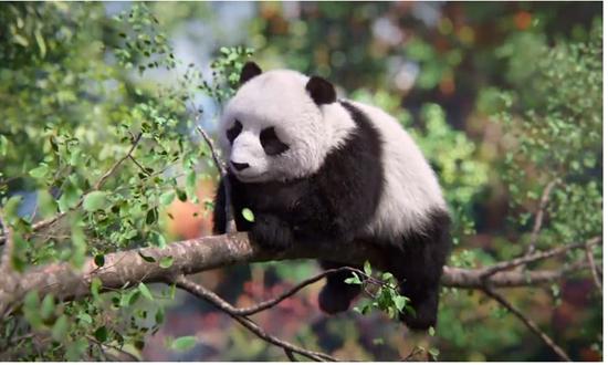China unveils world's 1st AI giant panda living in a 'cloud habitat'