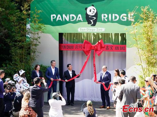 Public debut of Yun Chuan and Xin Bao ignite a fresh wave of 'panda-mania' in U.S.