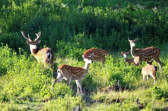 Event marks one-year countdown to biosphere reserve congress