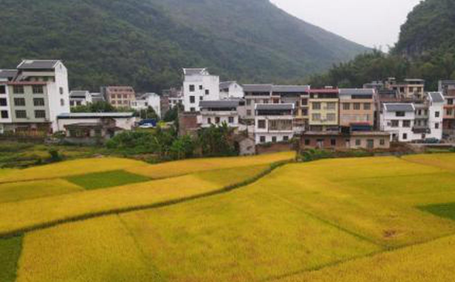 Per capita disposable income of China's rural residents reaches $3,185 ...
