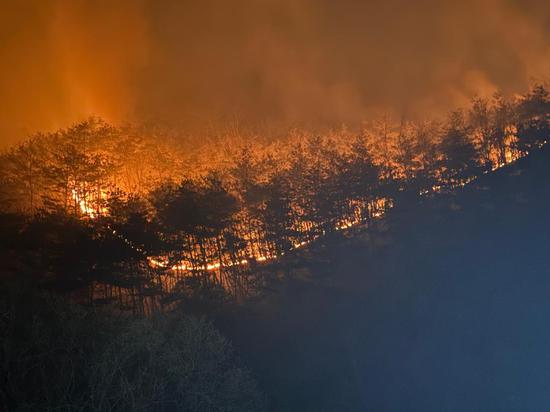Huge South Korea wildfires kill 27