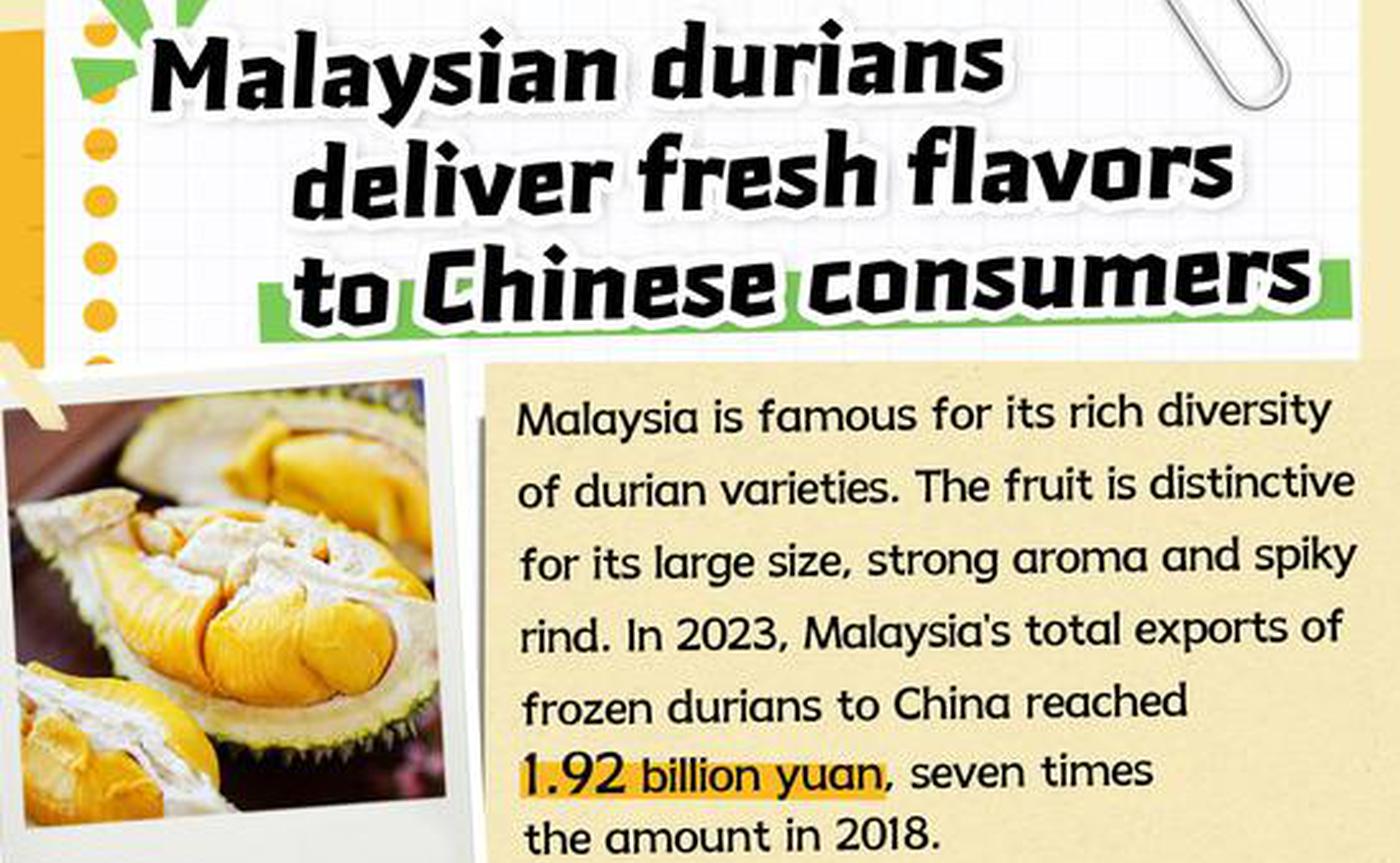 Malaysian durians deliver fresh flavors to Chinese consumers