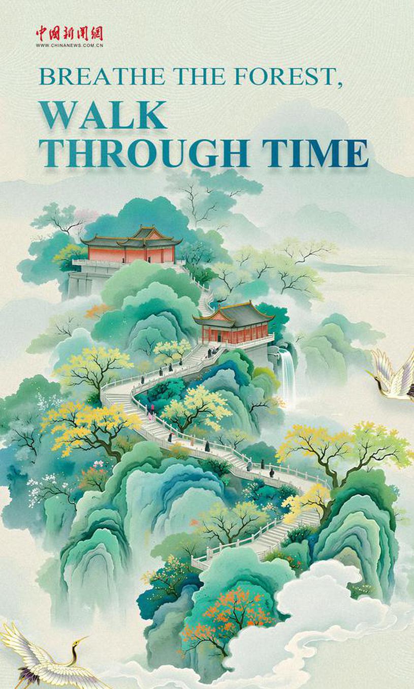 Soulful flavors of Wuyi Mountain: Where mountains, waters and warmth meet