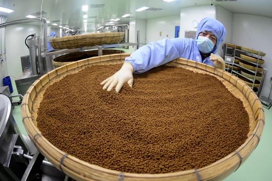 Chinese authorities permit trial use of imported calculus bovis in TCM