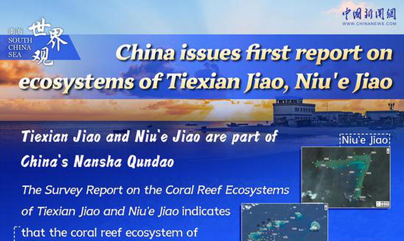 China issues first report on ecosystems of Tiexian Jiao, Niu'e Jiao