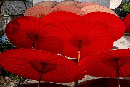 Southwest China' oil-paper umbrellas showcase timeless charm of eastern aesthetics