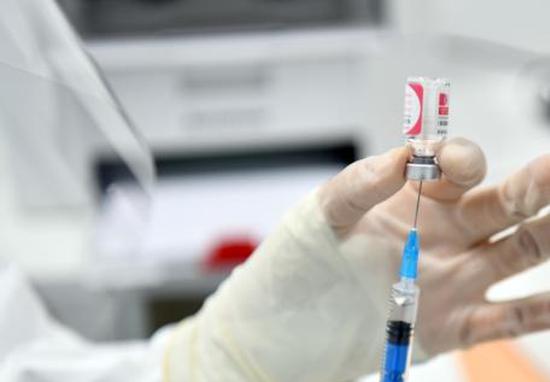 Scientists discover how H5N1 virus invades cattle