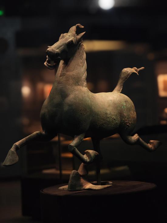 Steed for ages: Hexi horses from Gansu become a cultural superstar 