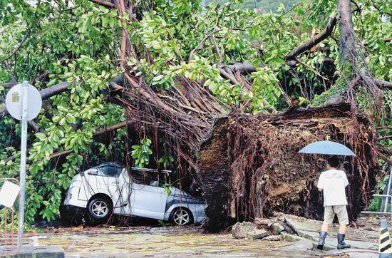 Typhoon Wipha pummels Guangdong Province