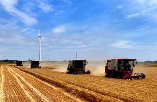 Unmanned farm tech in Qingfeng gives glimpse of future