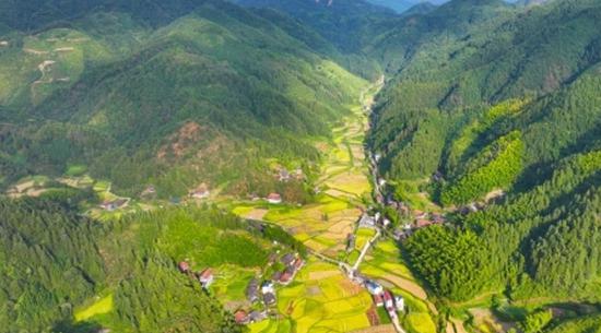 Anhui farmer earns title 'Role Model of the Times'
