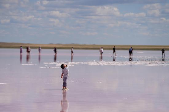 Picturesque view of pink salt lake in Kazakhstan