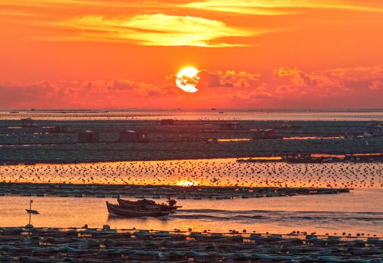 Aerial view of fishermen working at ocean ranch of Rongcheng, E China's Shandong