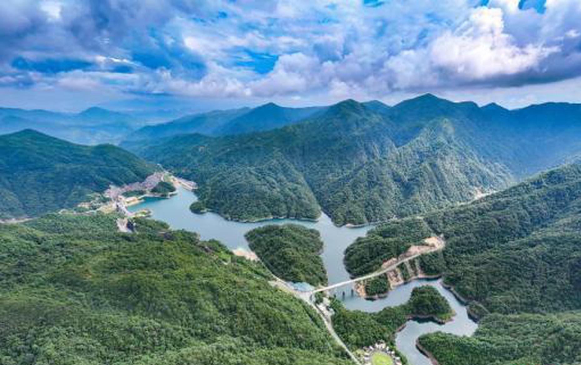 Report sheds light on global value of China's green push