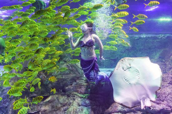 A 'mermaid' dances underwater with fish in east China