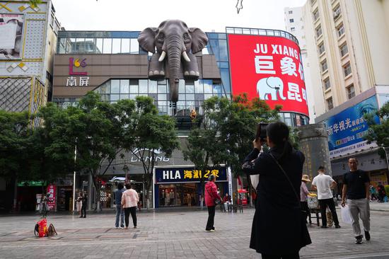 Elephant-themed art installation draws crowds in SW China