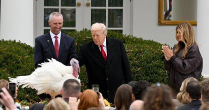 Trump pardons turkeys in annual Thanksgiving tradition