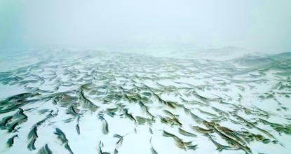 Kum Tag Desert welcomes its first snowfall this winter