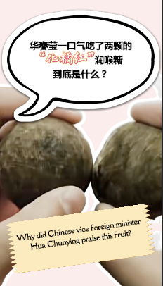 Why did Chinese vice foreign minister Hua Chunying praise this fruit?