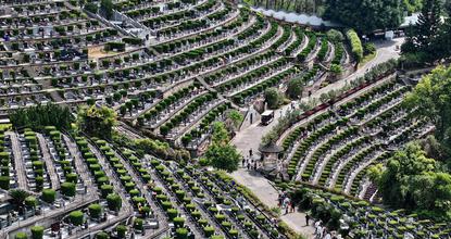 Fuzhou residents visit cemeteries to honor ancestors