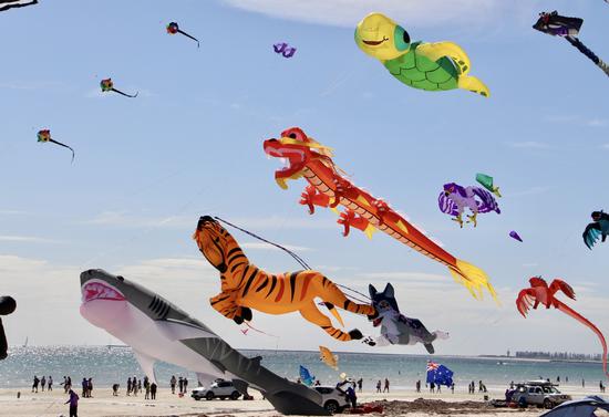 Colorful, creative kites fly over Adelaide