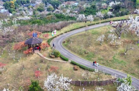 Chengdu: The happiest city with the most ambitions in China