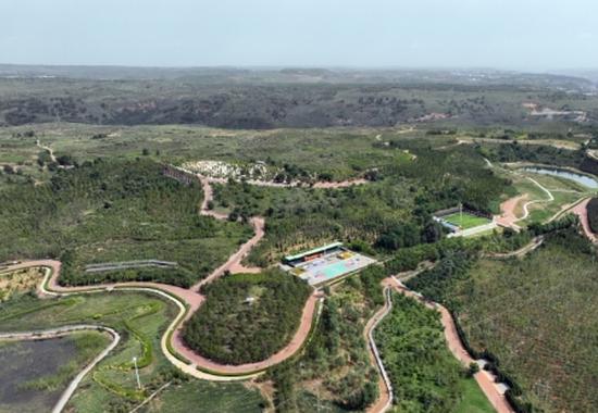 Energy sector shows resilience in Q1