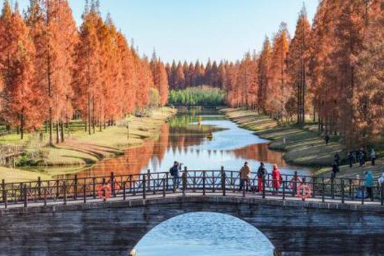 Authorities expose 10 ecological violation cases, urge stricter enforcement