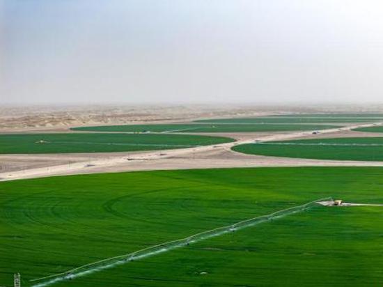 China makes major strides in fight against desertification, shares lessons with world