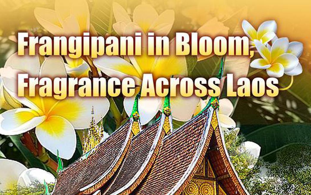 In Numbers: China-Laos ties face important opportunities in 2026