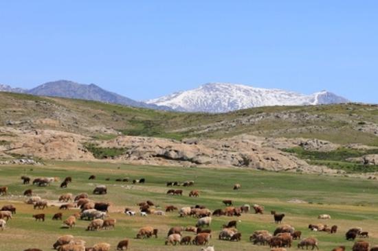 New project aids Xinjiang's energy goals