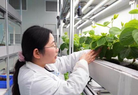 Resilient supply chain offers MNCs chances