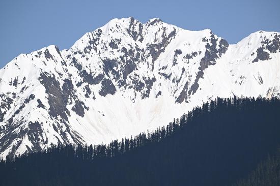 Views of snow mountain in Bomi County of China’s Xizang