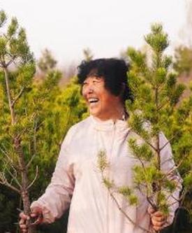 Green friendship between Chinese and American take root in Maowusu sandy area