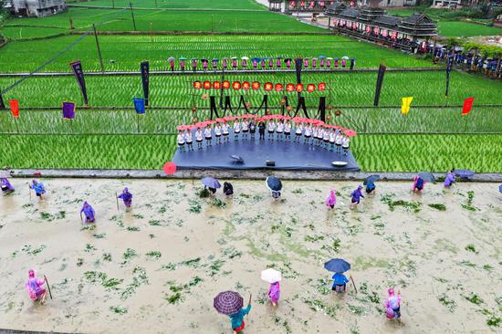Dong ethnic group marks end of rice planting season in Guizhou
