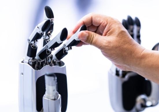 CISCE Insights: From efficiency to resilience — What are global companies looking for?