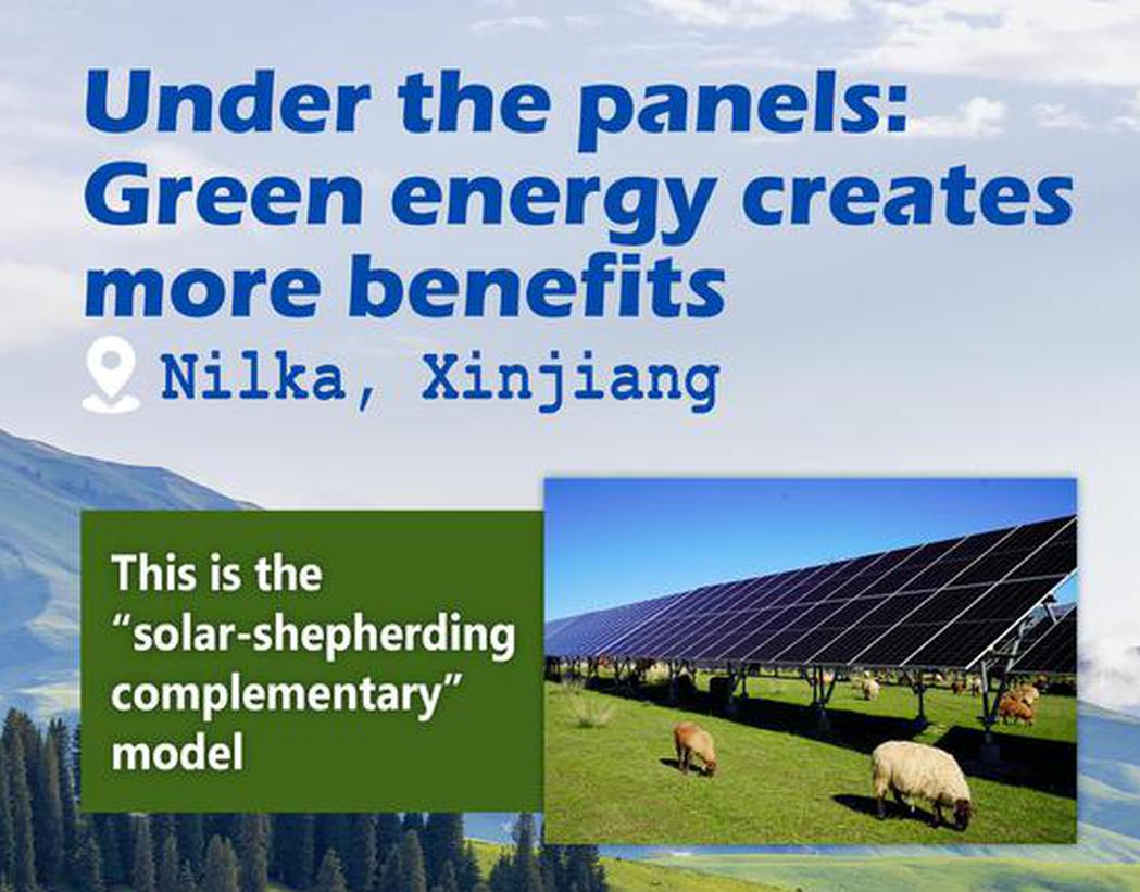 Under the panels: Green energy creates more benefits in Nilka, Xinjiang