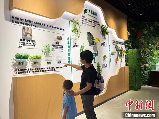 Tourists visit the Asian Elephant Museum at Wild Elephant Valley in the Xishuangbanna National Nature Reserve, southwest China's Yunnan Province, on July 14, 2026. (Photo: China News Network/Huang Fang)