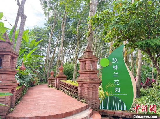 Rainforest landscape in Sanman Village, Xishuangbanna, southwest China's Yunnan Province. (Photo: China News Network/Huang Fang)